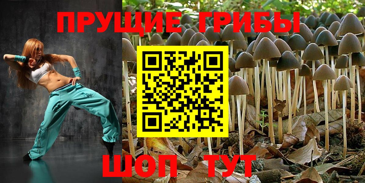 Галлюциногенные грибы Cubensis Невинномысск