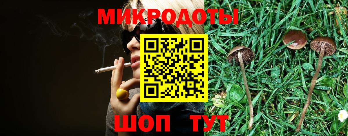где найти   Вход с VPN  Невинномысск  Псилоцибиновые грибы ЛСД  Псилоцибиновые грибы Cubensis 